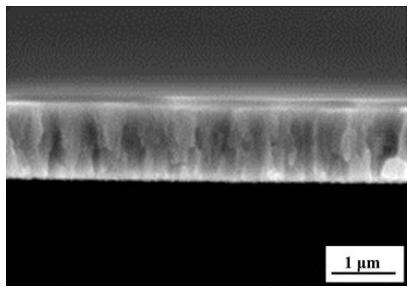 A kind of vacuum interrupter contact material surface coating and its treatment method