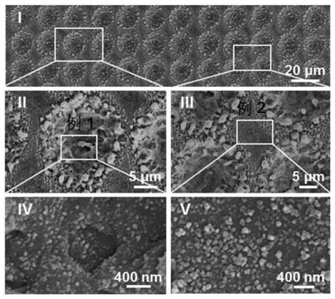 Preparation method of surface-enhanced Raman substrate with layered micro/nano structure