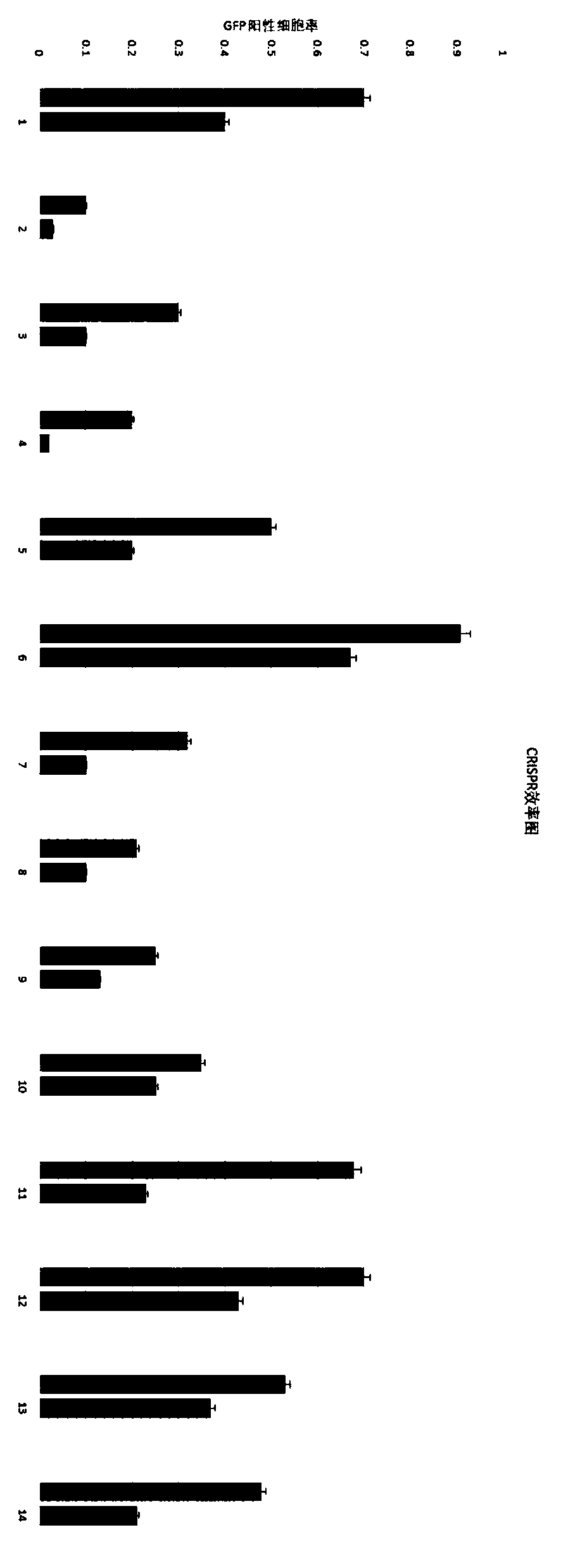 Method for knocking out CASP3 gene in mesenchymal stem cells using CRISPR-CAS system