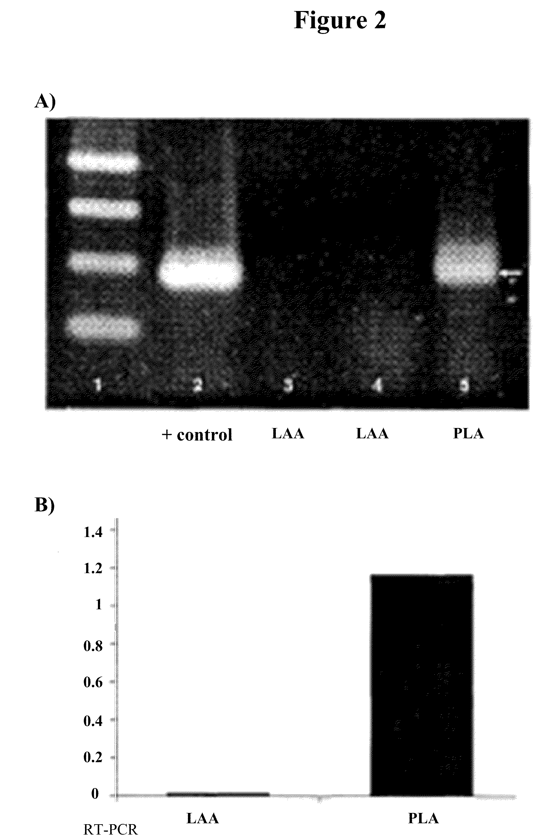 Devices for material delivery, electroporation, and monitoring electrophysiological activity