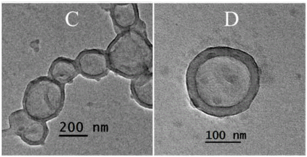 A kind of preparation method of antioxidant-coated polymer nanovesicles