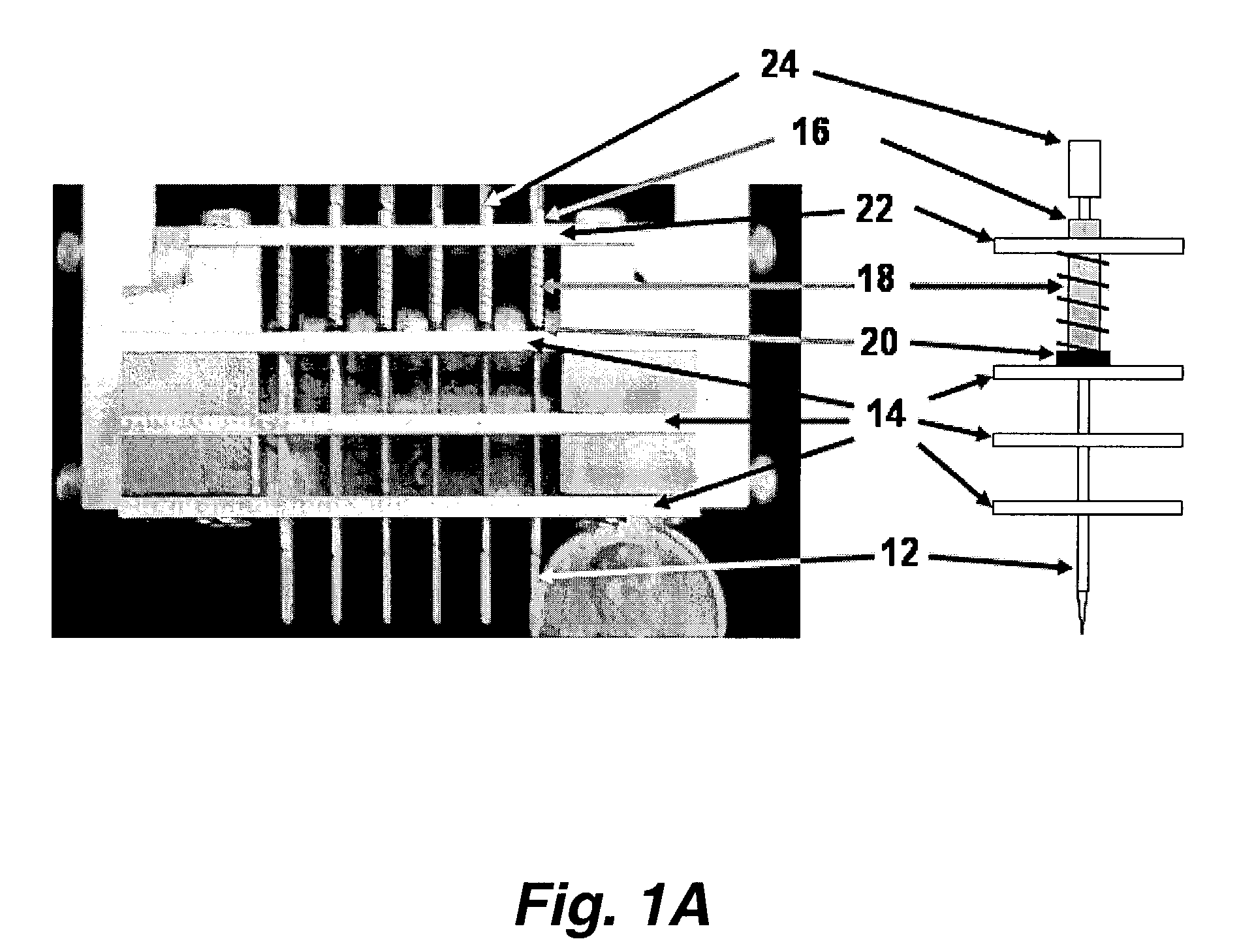 Capillary pins for high-efficiency microarray printing device