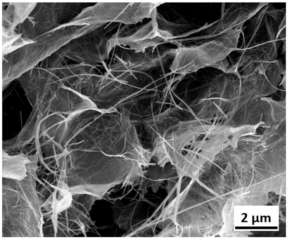 Sodium titanate nanowire/graphene composite negative electrode material, and preparation method thereof