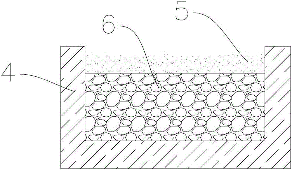 Cochineal insect breeding system and breeding method