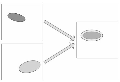 Image-based method for identifying shape of parasite egg