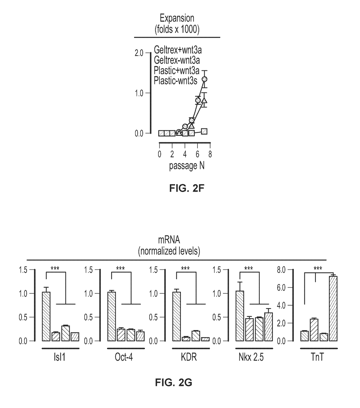 Derivation and self-renewal of lsl1+ cells and uses thereof