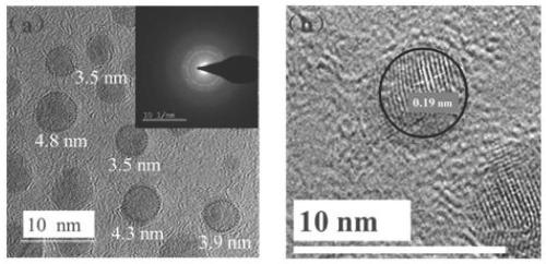 Light irradiation Mn:ZnSe@ZnS quantum dot photoelectric sensor as well as preparation method and application thereof