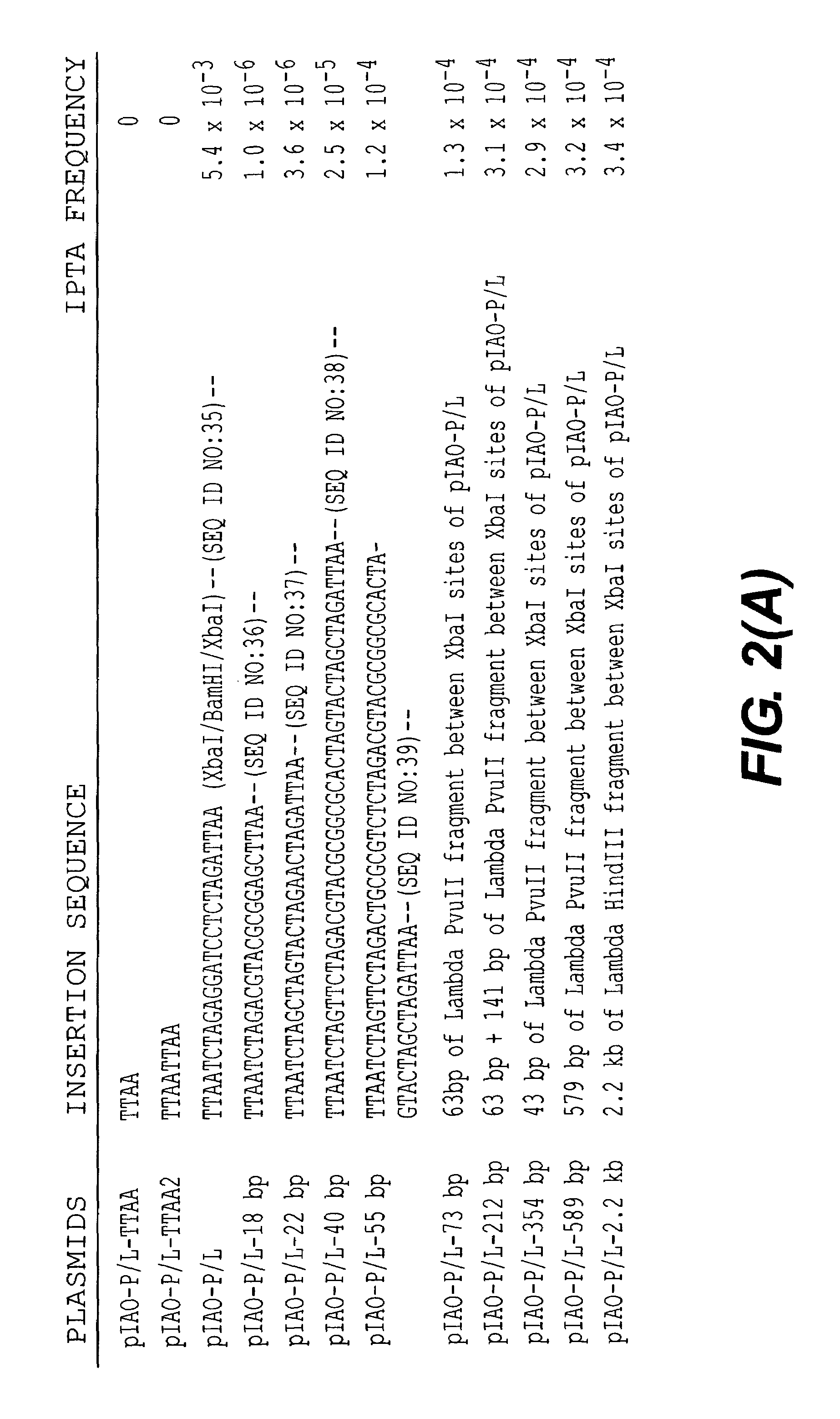 Methods and compositions for transposition using minimal segments of the eukaryotic transformation vector Piggybac