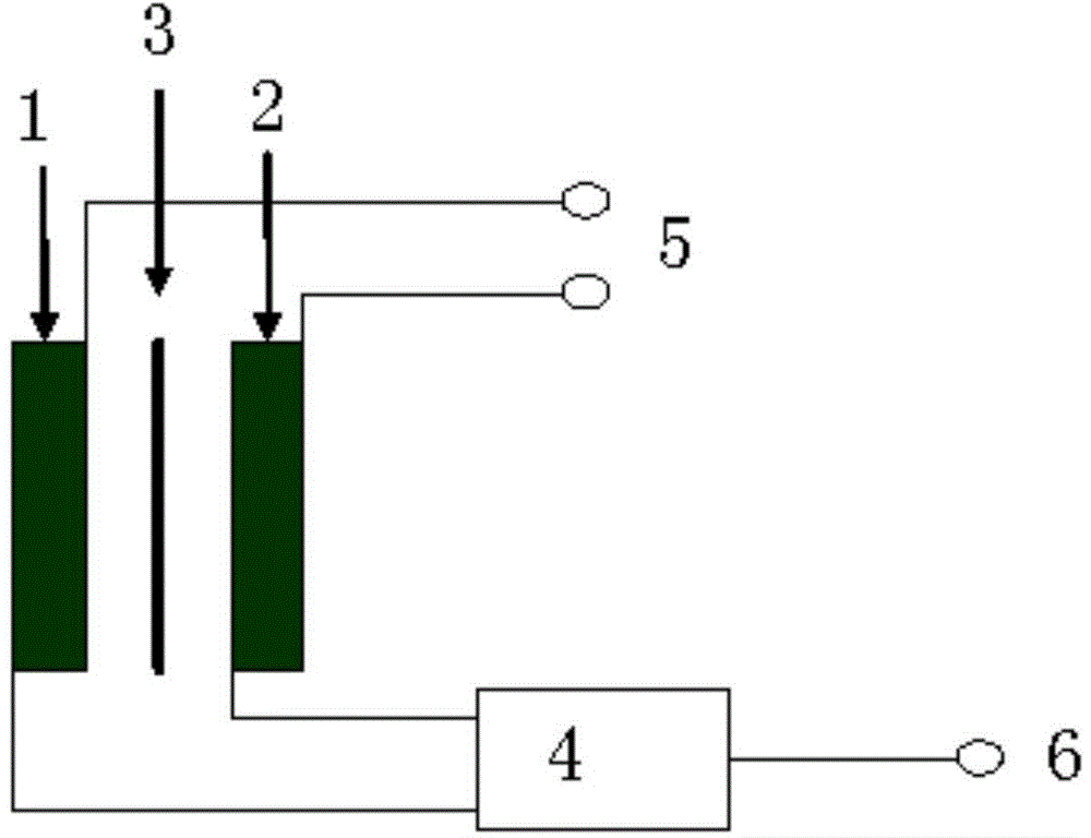 Direct illumination compensation type pulse neutron detection device and system