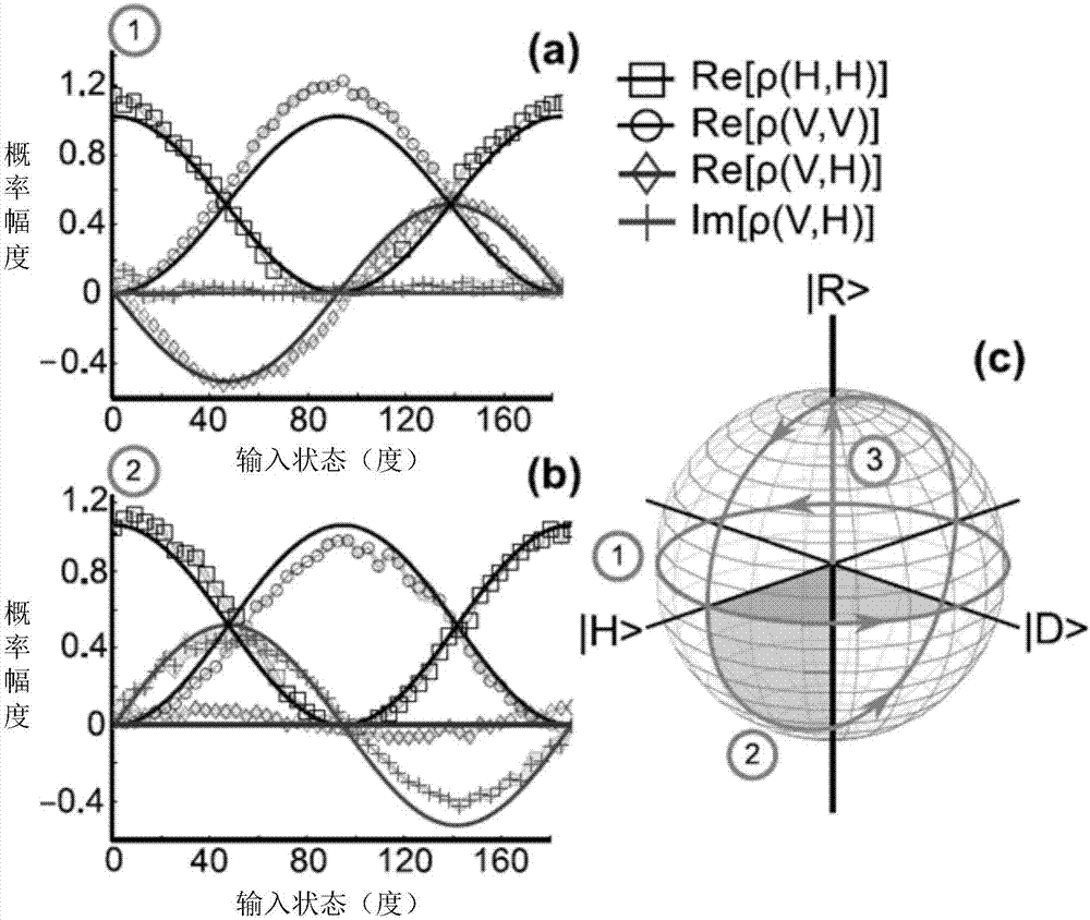 Device and method for directly measuring photon polarization density matrix