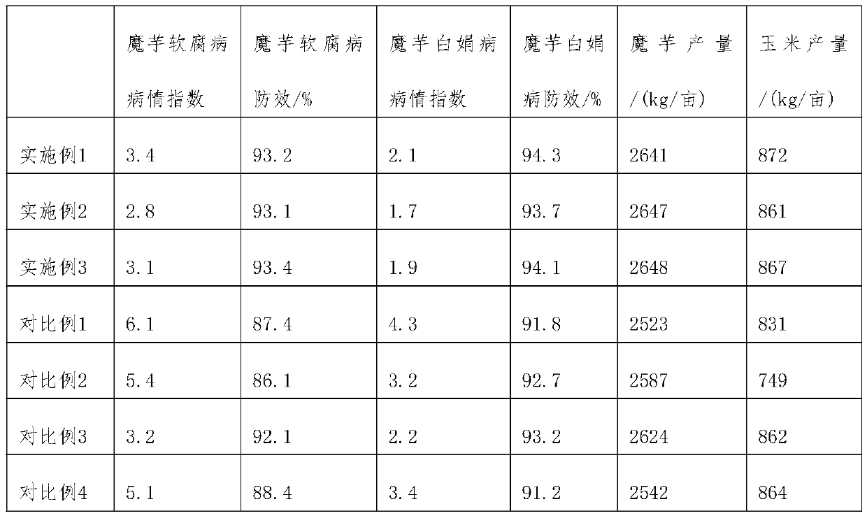 Interplanting method of konjac and corn