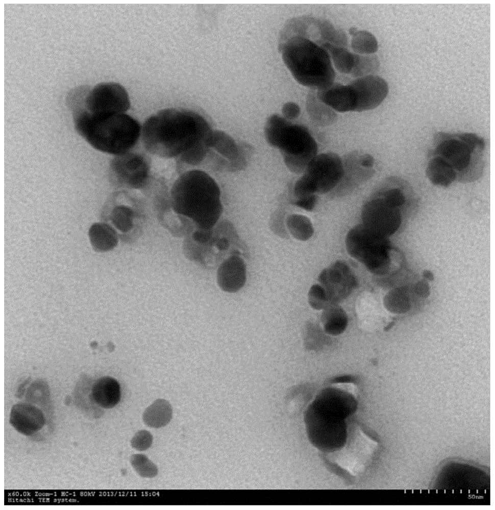 A Simple Method for Preparation of Nano Silver Using Bacterial Fermentation Broth