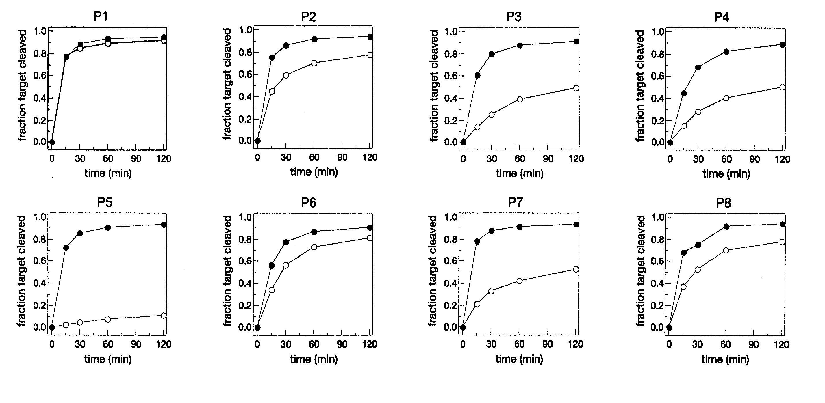 Compositions and methods for enhancing discriminatory RNA interference
