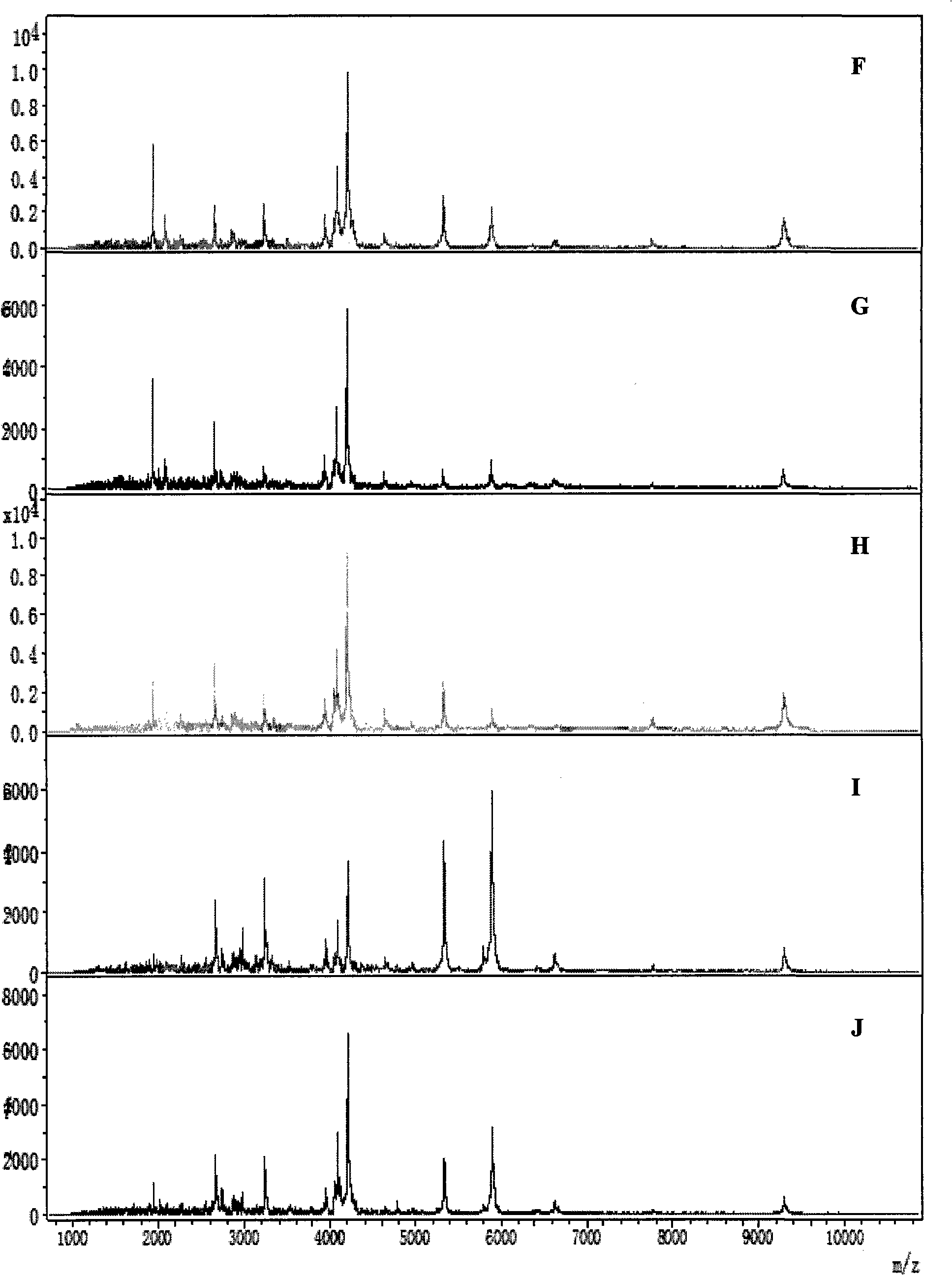 Mass spectrum model used for detecting liver cancer characteristic protein and preparation method thereof