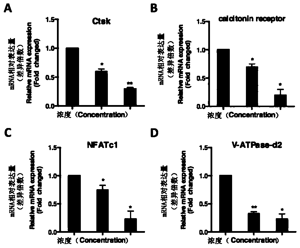 Application of cat's eye xanthin in the treatment of osteoporosis