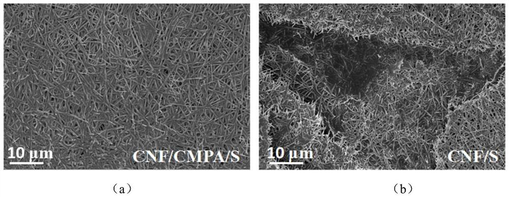 Preparation method of conjugated microporous polyaniline modified battery current collector and application of conjugated microporous polyaniline modified battery current collector in lithium-sulfur battery