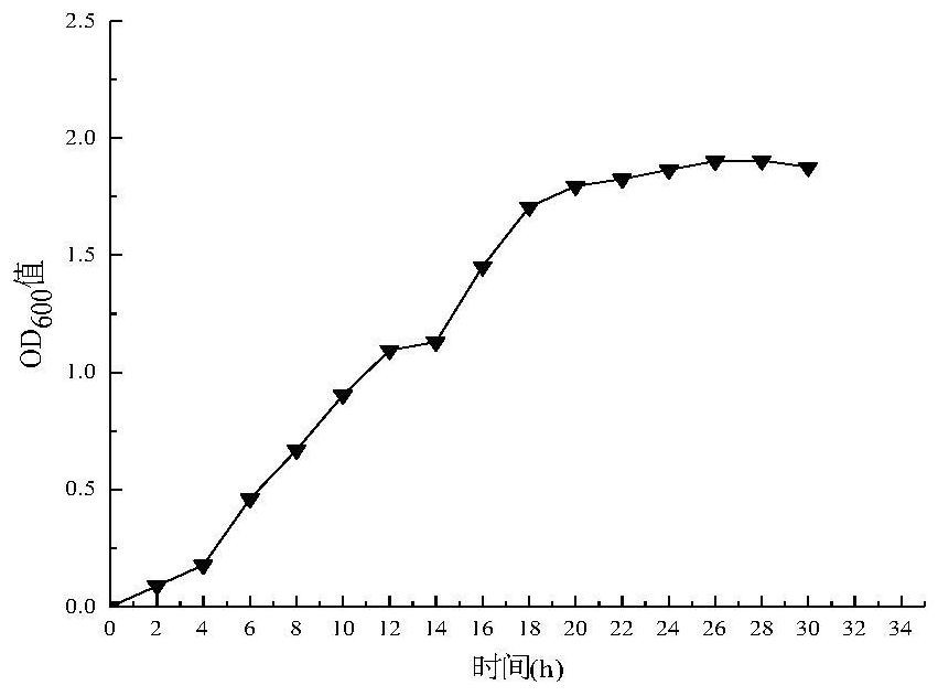 A kind of Lactobacillus bulgaricus bsts6-4 and application thereof