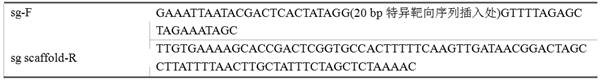 A method for genome editing, precise site-specific gene knock-in in fish