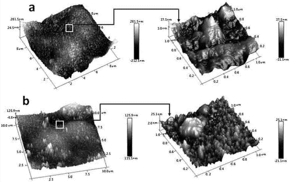 Preparation method for preparing graphene oxide anti-corrosion protective film on metal surface