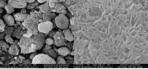 Immobilized Catalysts of Silane-Coupled Molecular Sieves and Double Salt Ionic Liquids