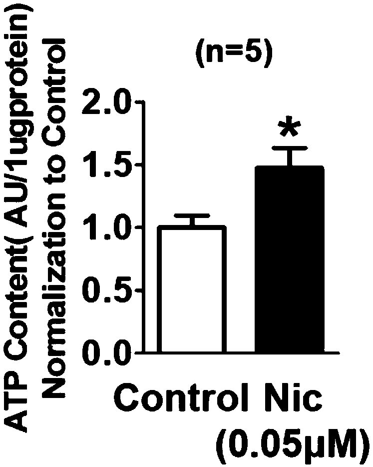 Application of niclosamide and structural trim thereof in heart protection, pulmonary hypertension resistance and tumor resistance