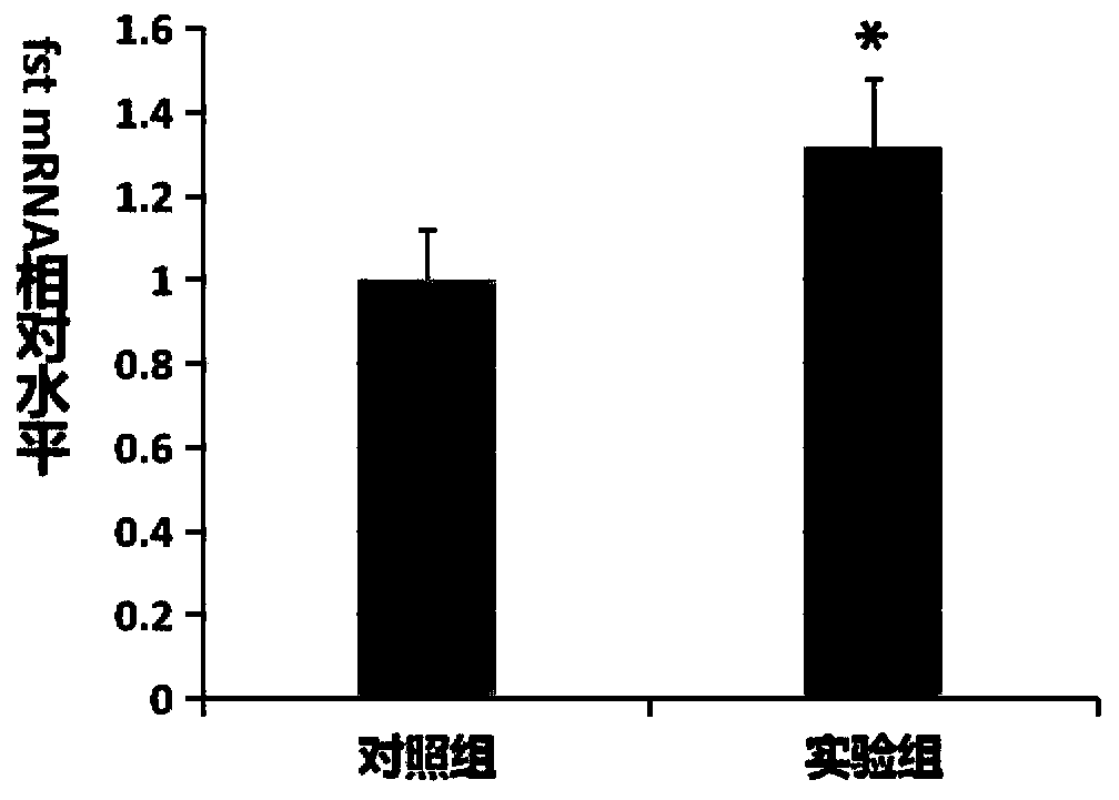 Method for increasing growth speed of crucian carps based on transgenes