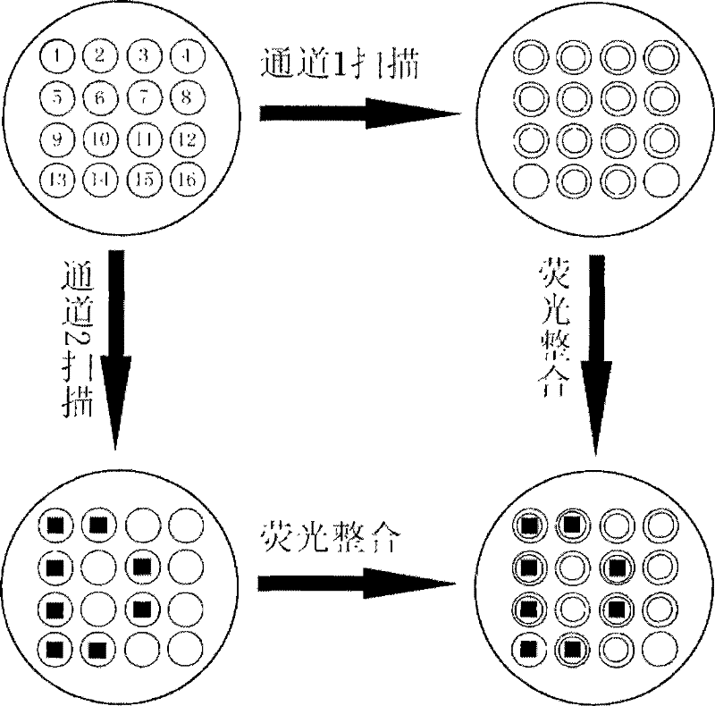 A kit for detecting Marfan syndrome and its preparation method