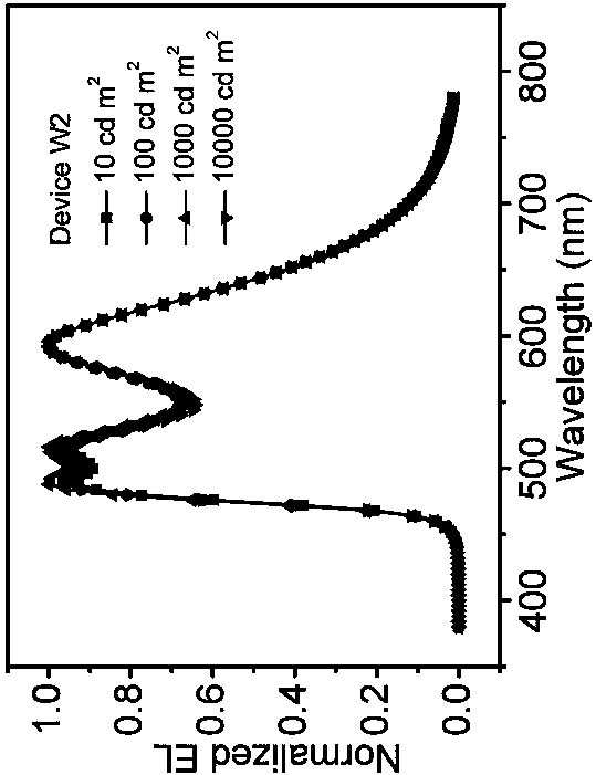 A single-layer all-phosphorescent white light organic electroluminescent device and its preparation method