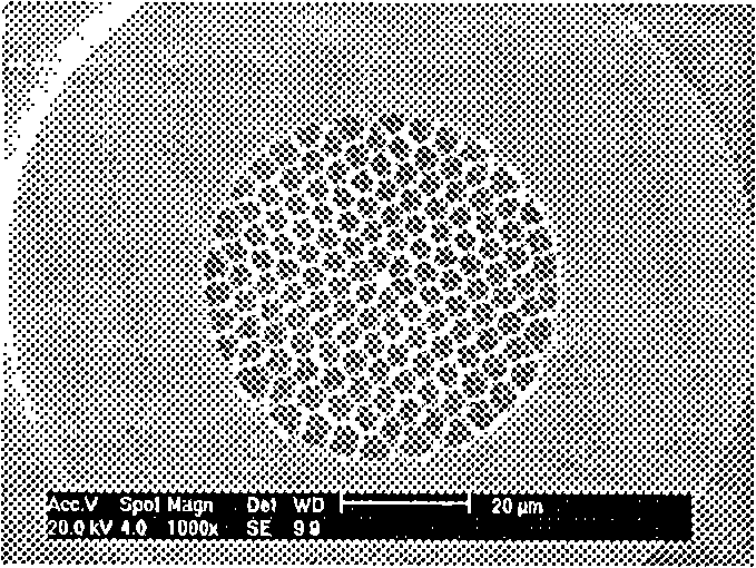 Small core radial bundling type large effective module field area and high non-linear photon crystal optical fiber