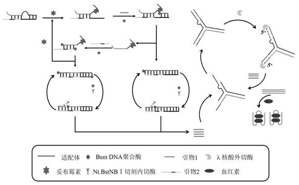 A colorimetric method for the detection of tobramycin based on double-strand displacement and three-way DNA structure