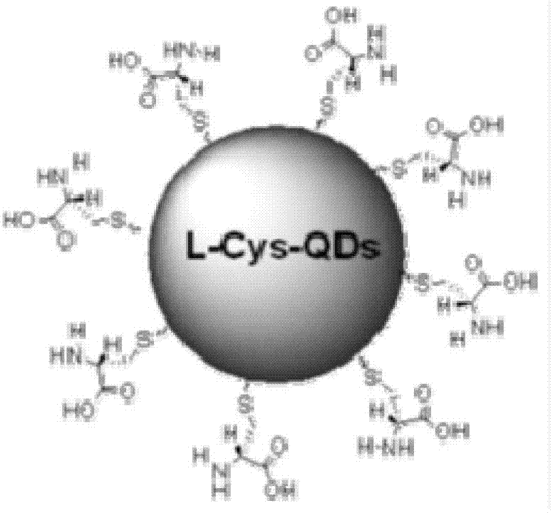 CdTe quantum dot-containing nano-artesunate capsule and its preparation method