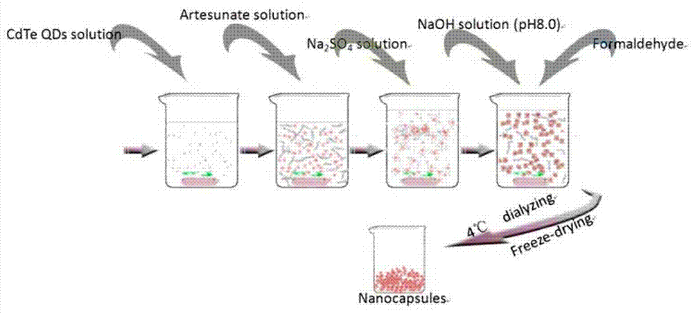 CdTe quantum dot-containing nano-artesunate capsule and its preparation method