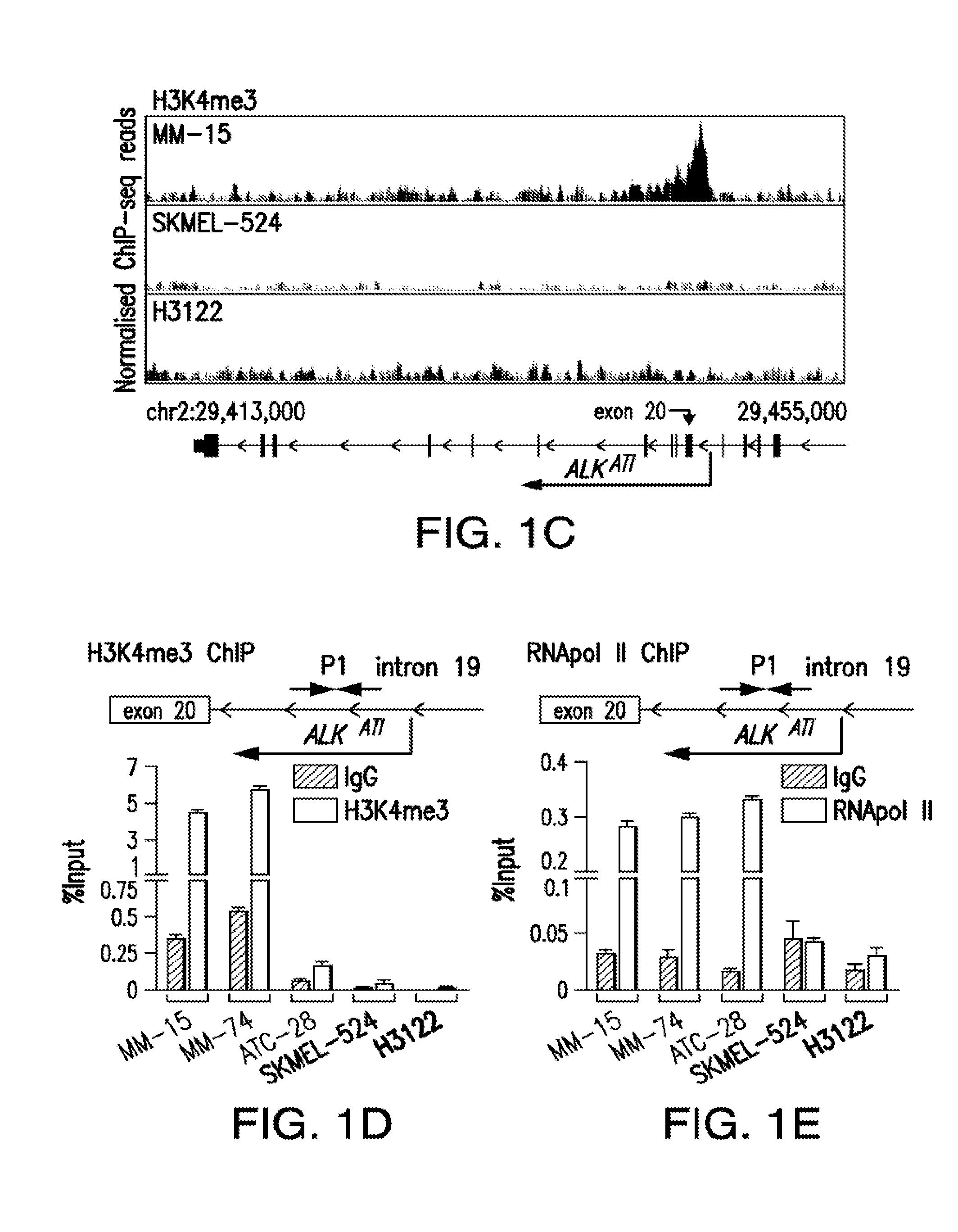 Novel isoform of anaplastic lymphoma kinase and its uses