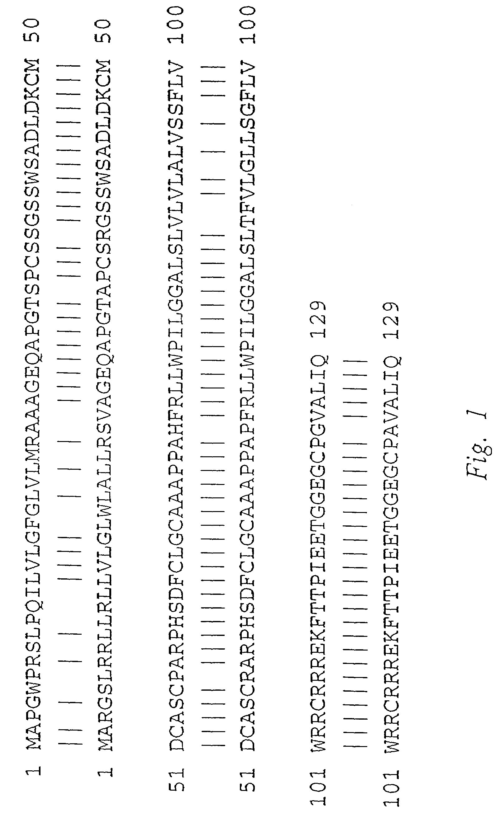 Compositions and methods relating to multimeric and oligomeric soluble fragments of the TWEAK receptor