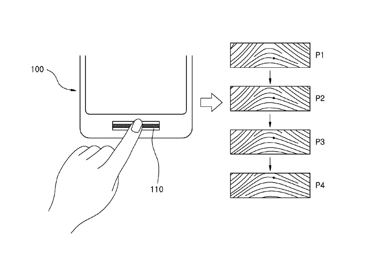 Fingerprint information processing method and apparatus for speed improvement of fingerprint registration and authentication