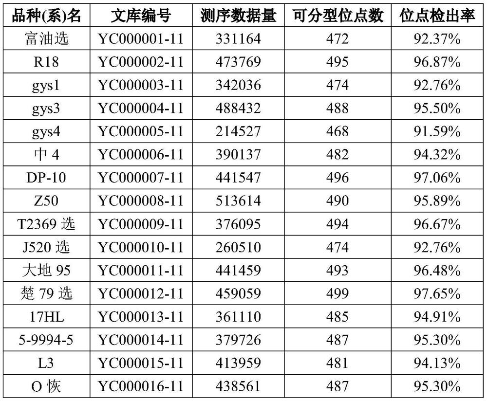 Combination and application of mnp marker primers for the identification of rapeseed varieties and their substantive derivatives