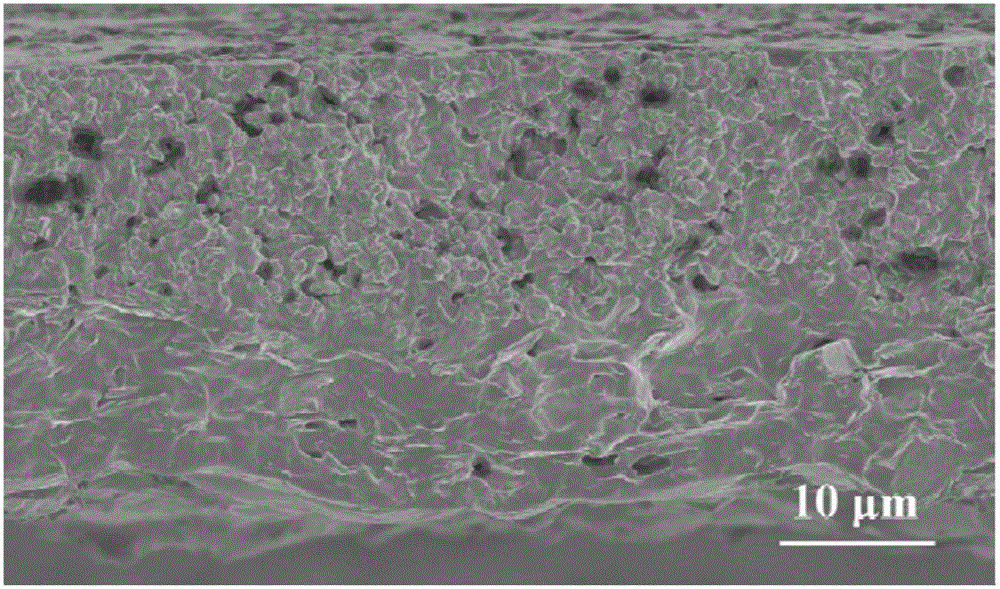 Method for preparing lamellar barium ferrite/RGO (Reduced Graphene Oxide) composite wave absorption material with tape casting method