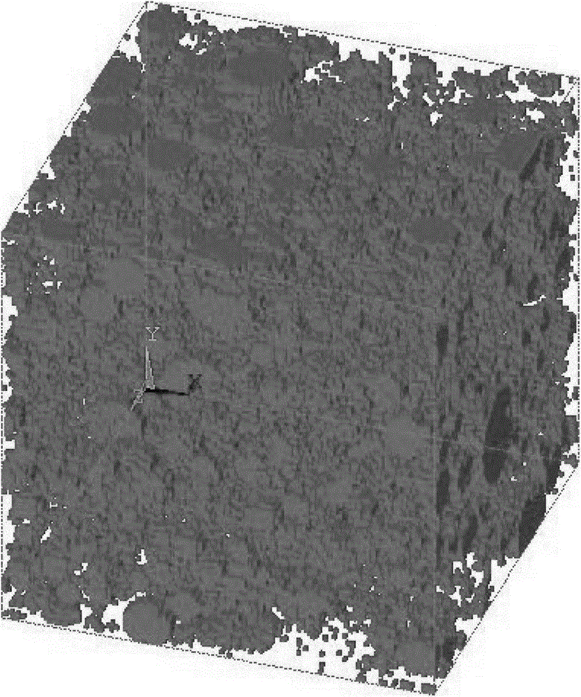 A Generation Algorithm of Microscopic Digital Model of Cement Paste