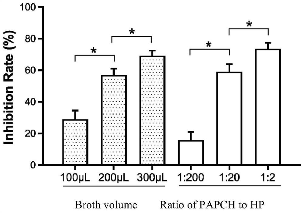 Probiotic agent PAPCH for preventing and treating helicobacter pylori infection and preparation method of probiotic agent PAPCH