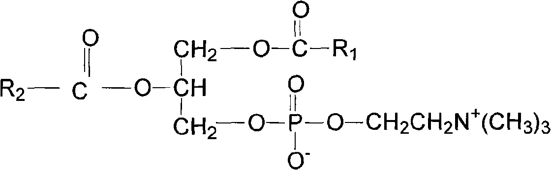 Anthocyanin phospholipids compound and preparation method thereof