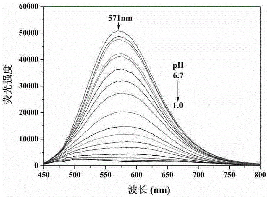 A kind of extremely acidic pH fluorescent probe and its preparation method and application