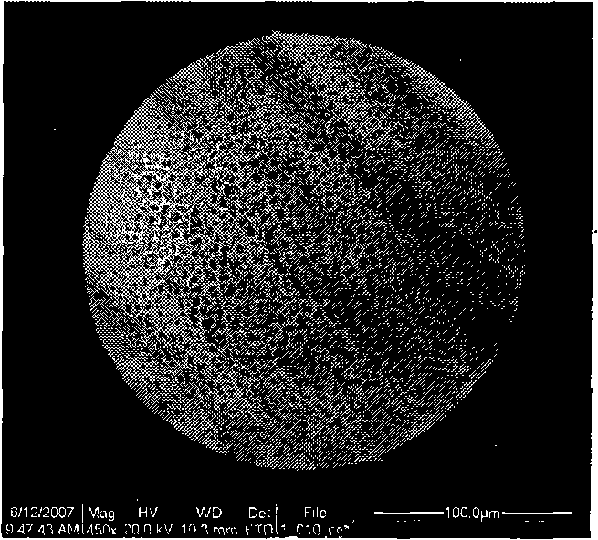 Method for preparing nucleocapsid type microgel composite microsphere using polymeric surfactant