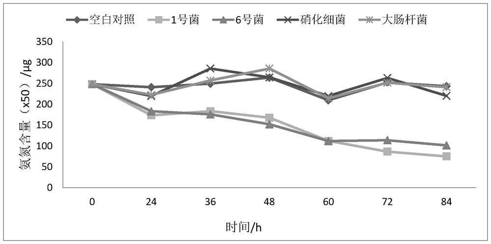 A kind of microbial denitrification method of high-salt sewage