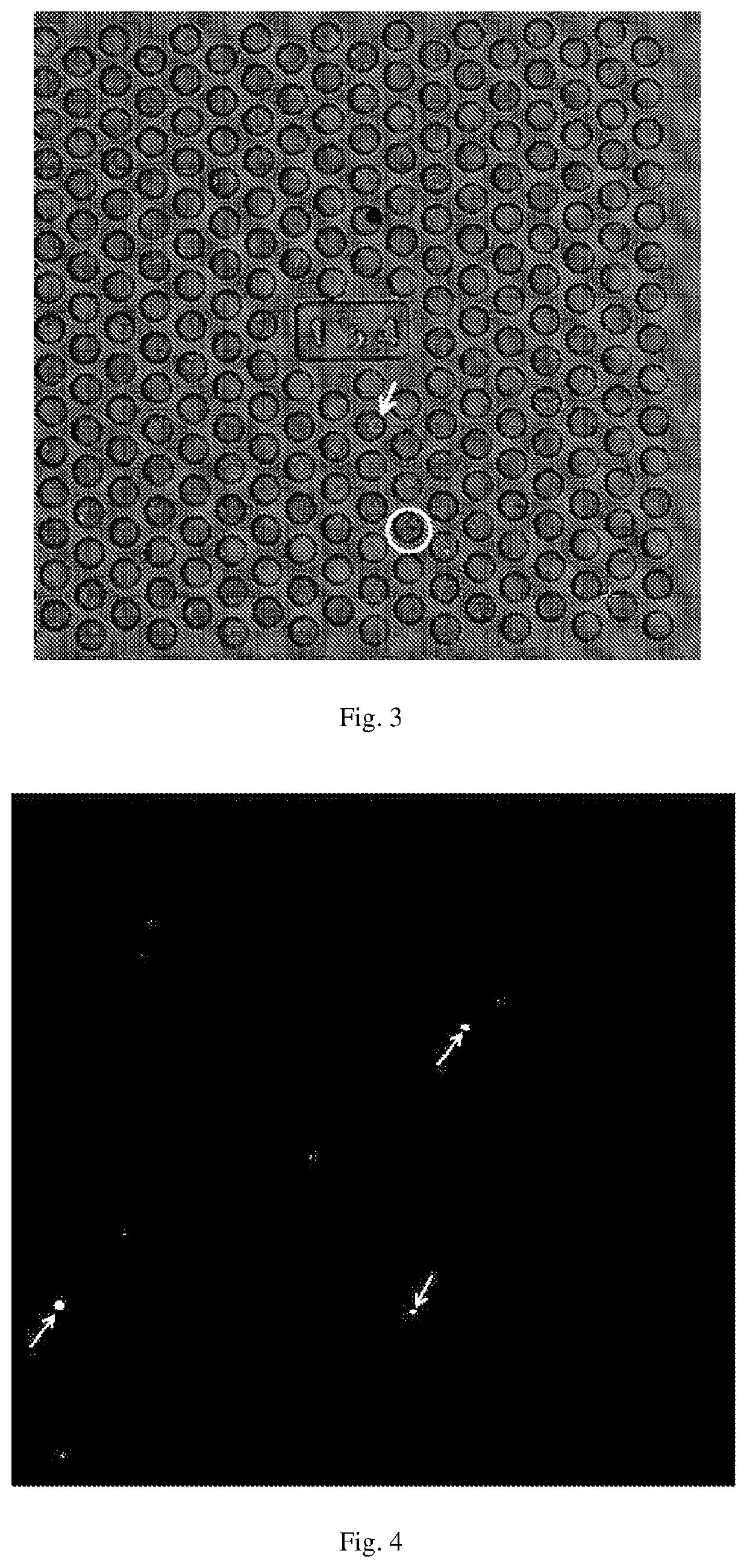 Marker of fetal trophoblast cell, identification method, detection kit and use thereof