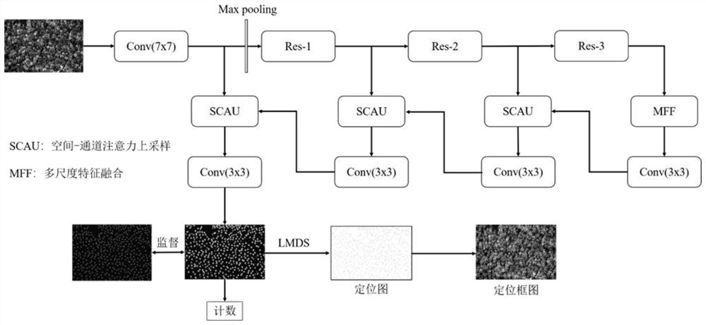 Coding and decoding structure-based crowd counting and positioning method