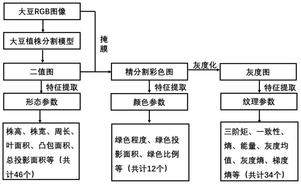 Nondestructive measurement method for biomass in whole growth period of soybeans