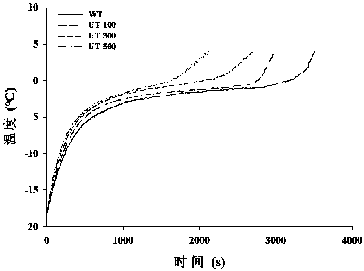 Method for ultrasonically assisting thawing of cyprinoids