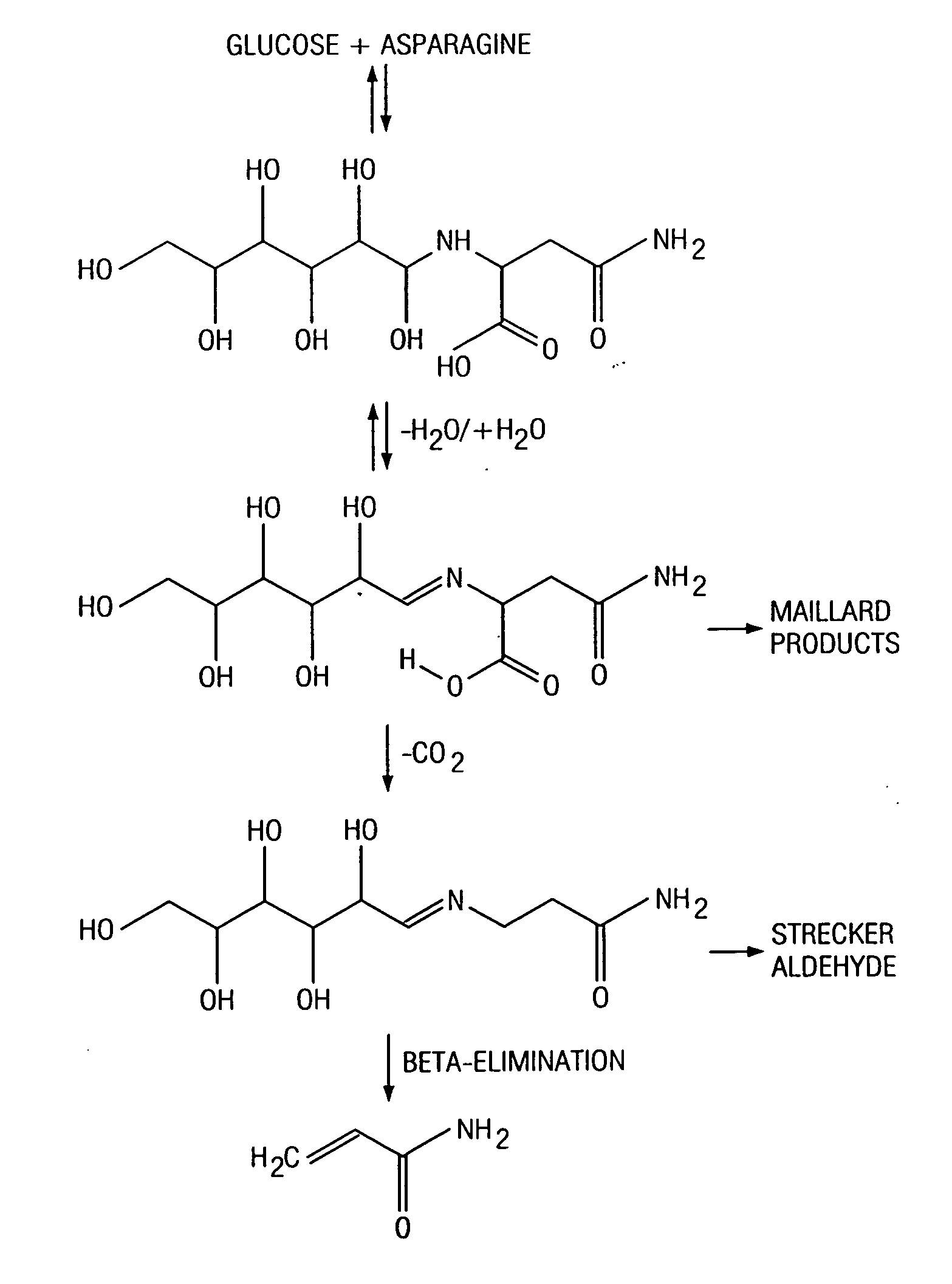 Method for reducing acrylamide formation in thermally processed foods