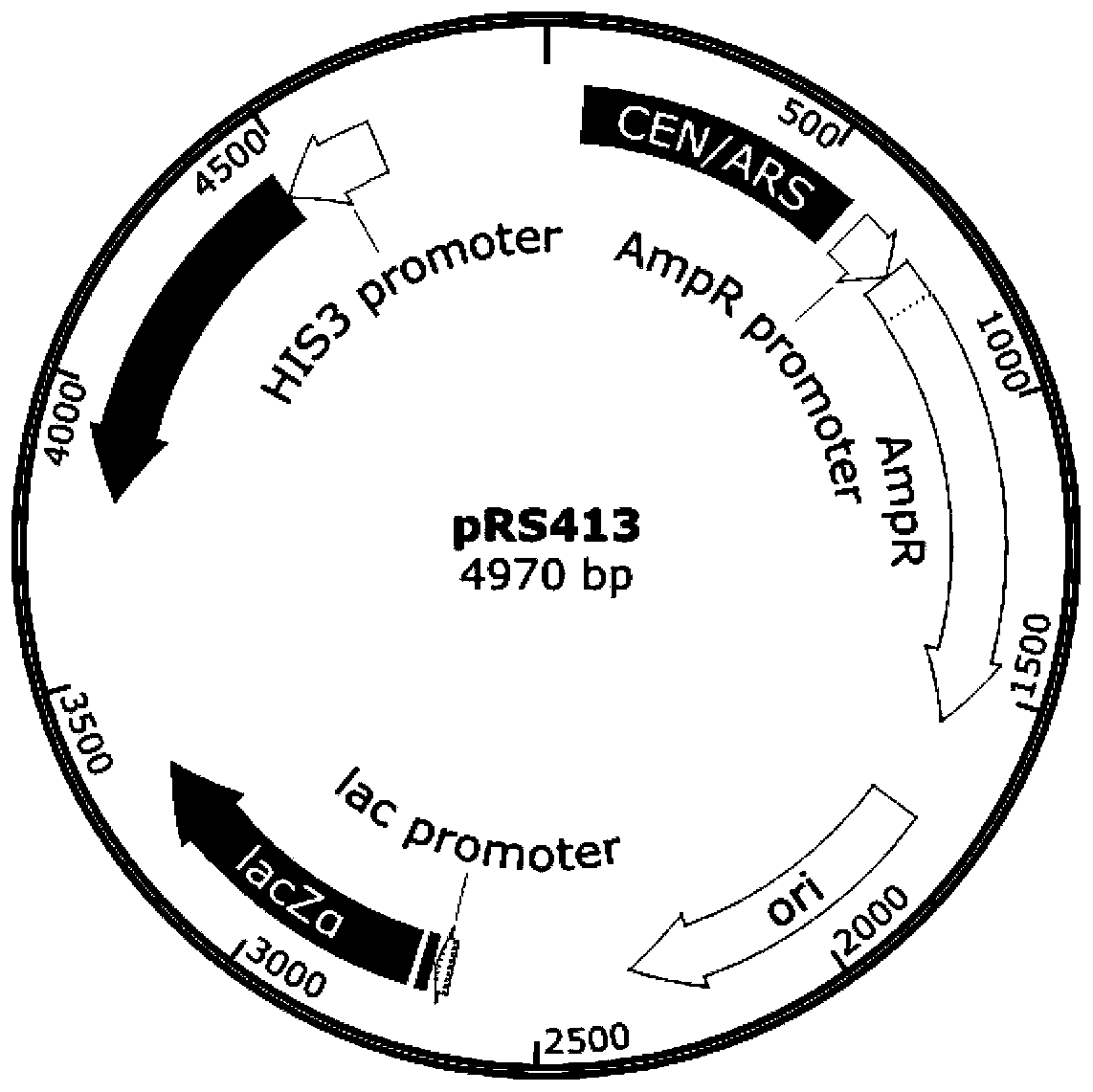 Gene element for precise control of gene rearrangement, recombinant plasmid and application thereof