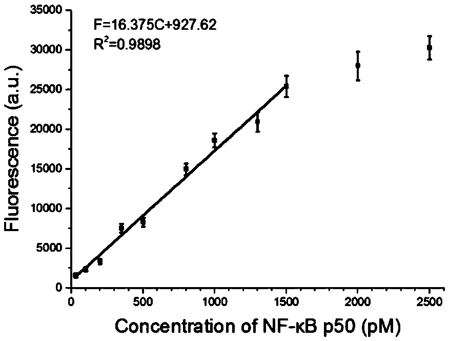 A Transcription Factor Detection Method Based on DNA-Silver Nanocluster Molecular Beacons and Exonuclease III Cyclic Signal Amplification